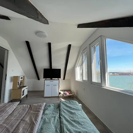 River House Zizi *