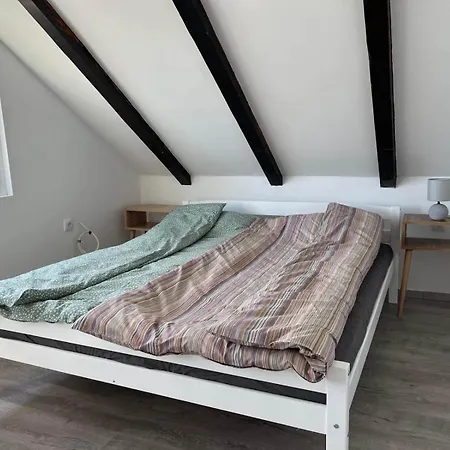 River House Zizi בלגרד